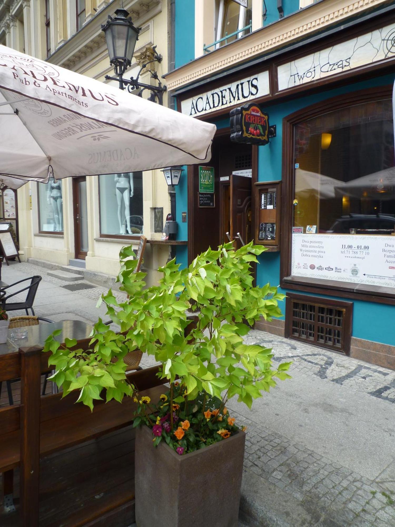 Academus Pub & Guest House Wroclaw Luaran gambar